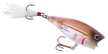 Picture of Heddon X9219BAC Pop'n Image Jr.