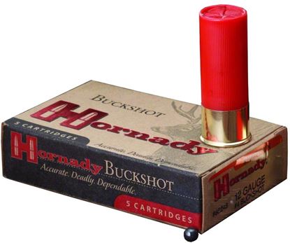 Picture of Hornady 86243 Varmint Express Buckshot 12 GA, 2-3/4 in, 4B, 24 Pellets, 1-1/4, 1350 fps, 10 Rounds, Boxed