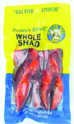 Picture of Killer Bee Injured Whole Shad