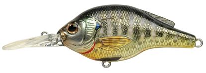 Picture of LiveTarget Sunfish Bluegill