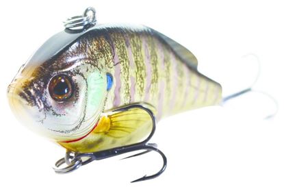 Picture of LiveTarget Sunfish Bluegill Lipless Crankbait