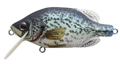 Picture of LiveTarget Crappie Crankbait