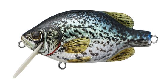 Picture of LiveTarget Crappie Crankbait