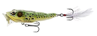 Picture of LiveTarget Frog Popper