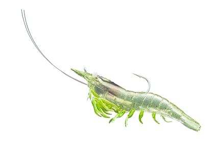 Picture of LiveTarget Rigged Shrimp Soft Bait W/Rattle