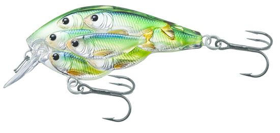 Picture of LiveTarget BaitBall Yearling Crankbait