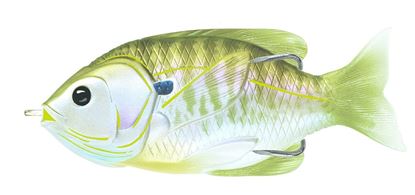 Picture of LiveTarget Sunfish Hollow Body