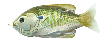 Picture of LiveTarget Sunfish Hollow Body