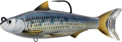 Picture of LiveTarget Common Shiner Swimbait