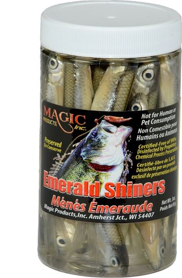 Picture of Magic 5213 Preserved Shiner Minnows, 1 1/2 oz Jar, Medium