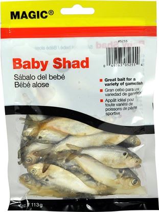 Picture of Magic 5255 Preserved Shad, 4oz Bag, Natural (054763)