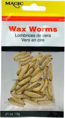 Picture of Magic 5239 Preserved Wax Worms, .21 oz Pouch, Natural (703421)