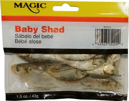 Picture of Magic 5224 Preserved Shad 1-1/2oz Bag, Natural (647008)