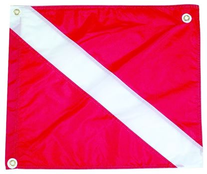 Picture of Nylon Flag