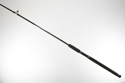 Picture of Master Blackfinn Series Rods