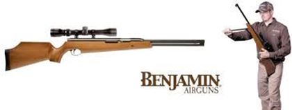 Picture for manufacturer Benjamin