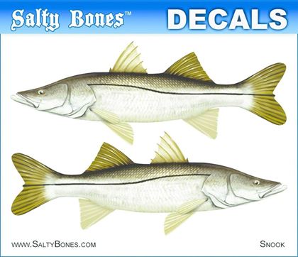 Picture for manufacturer Salty Bones