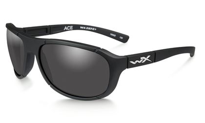 Picture for manufacturer Wiley-X