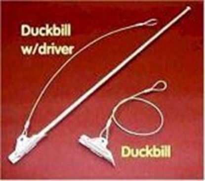 Picture of Duckbill Stakes