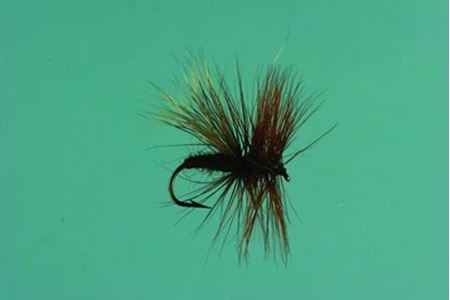 Picture for category Flies & Poppers