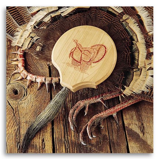 Picture of Quaker Boy Turkey Fan Mount