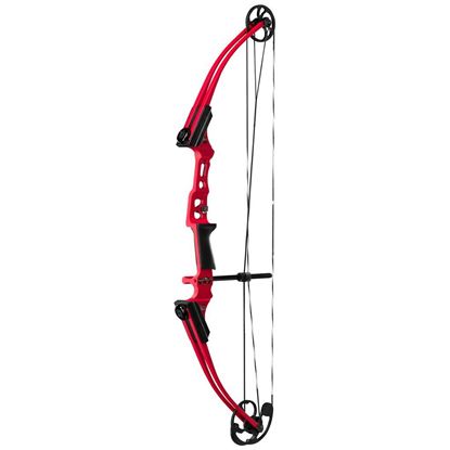 Picture of Genesis Mini Bow
