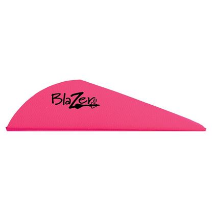 Picture of Bohning Blazer Vanes