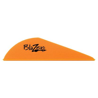 Picture of Bohning Blazer Vanes