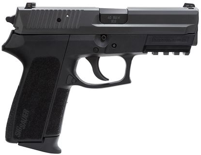 Picture of Sig Sauer Black 40 S&W 12 Rd Ma