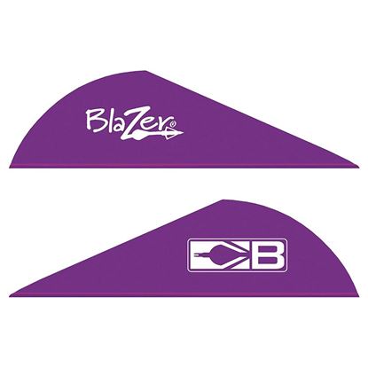 Picture of Bohning Blazer Vanes