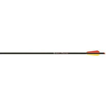 Picture of Beman ICS Hunter Bolts
