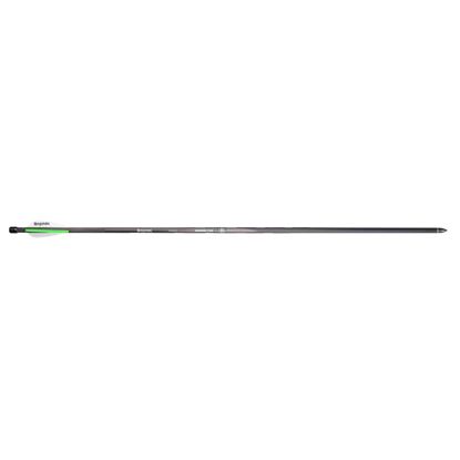 Picture of Benjamin Airbow Arrows