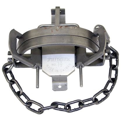 Picture of Bridger Coil Trap