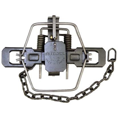 Picture of Bridger Coil Trap