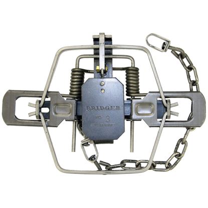 Picture of Bridger Coil Trap