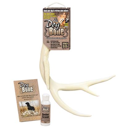 Picture of Dog Bone Shed Antler