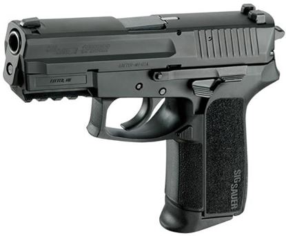 Picture of SIG P229 9MM 10RD BLK NS
