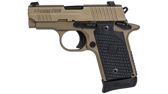 Picture of SIG  238-380-ESCPN 380ACP 2.7"