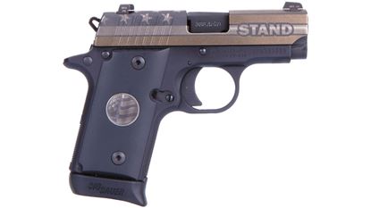 Picture of SIG 238 STAND 380ACP 2.7" 7RD