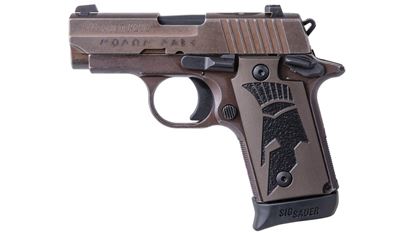 Picture of SIG  SPARTAN II 380ACP 2.7" 7RD
