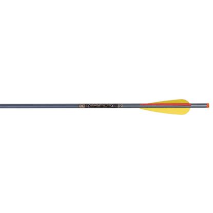 Picture of TenPoint XX75 Magnum Arrows