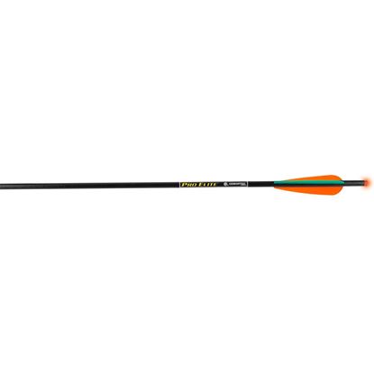 Picture of TenPoint Pro Elite Arrows