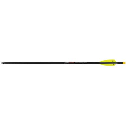 Picture of TenPoint Pro Elite Carbon Arrows