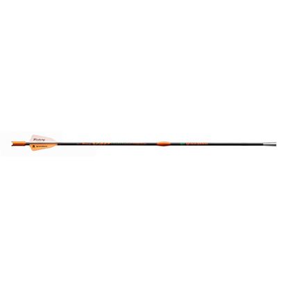 Picture of Victory Voodoo Crossbow Bolt