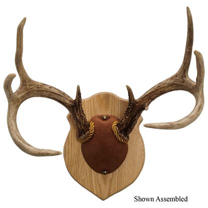 Picture of Walnut Hollow Antler Mounting