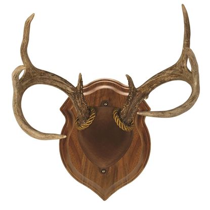Picture of Walnut Hollow Deluxe Antler