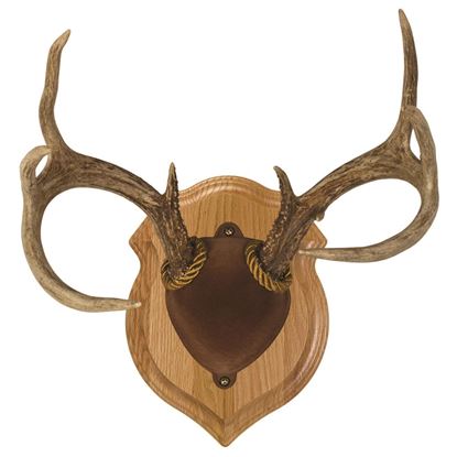 Picture of Walnut Hollow Deluxe Antler