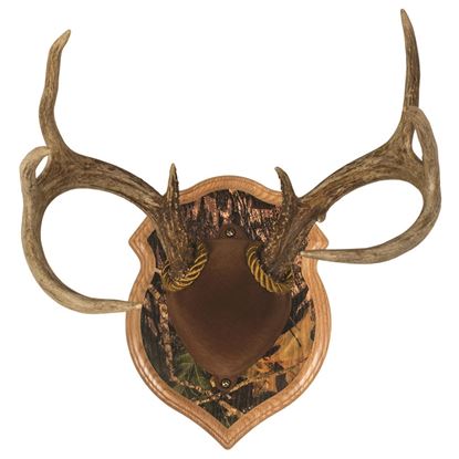 Picture of Walnut Hollow Deluxe Antler