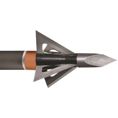 Picture of Wasp Dart Broadhead