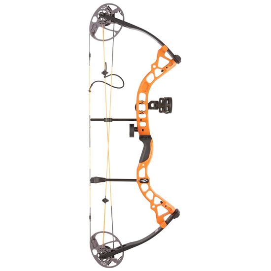 Picture of Diamond Prism Bow Package